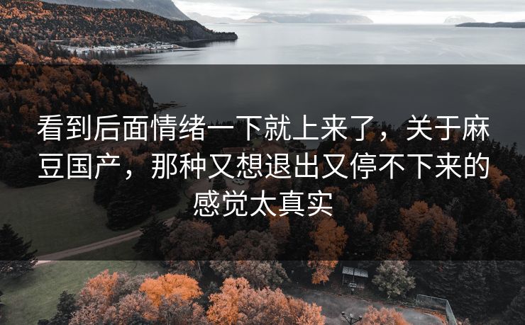 看到后面情绪一下就上来了，关于麻豆国产，那种又想退出又停不下来的感觉太真实